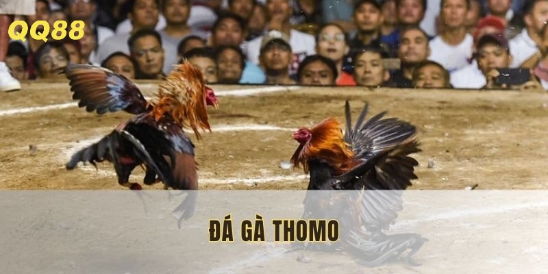 da-ga-thomo