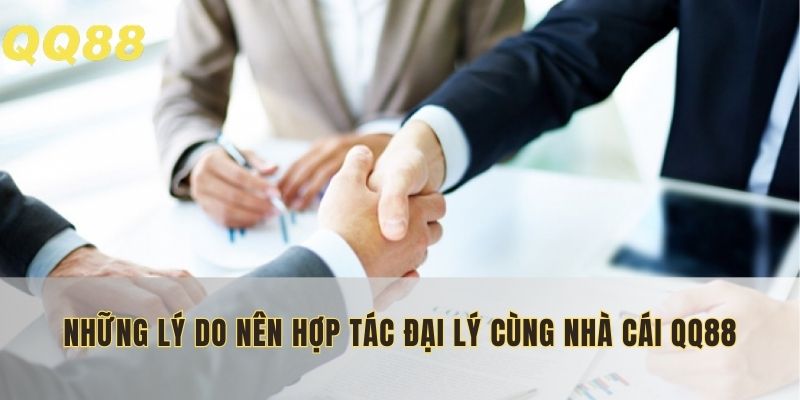 Những lý do nên hợp tác đại lý cùng nhà cái QQ88